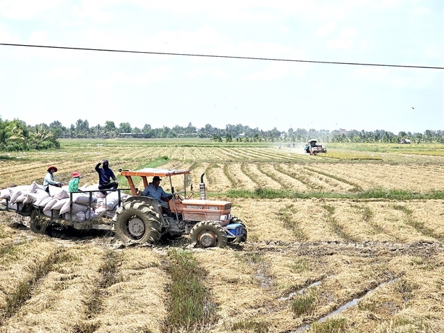 Dong Thap Muoi wetland to make breakthrough for sustainable development