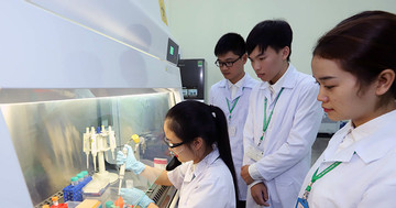 Vietnamese universities up in world rankings