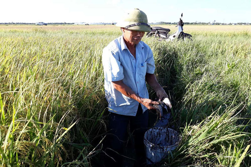 Minister: Time for Vietnam to issue declaration about water resources