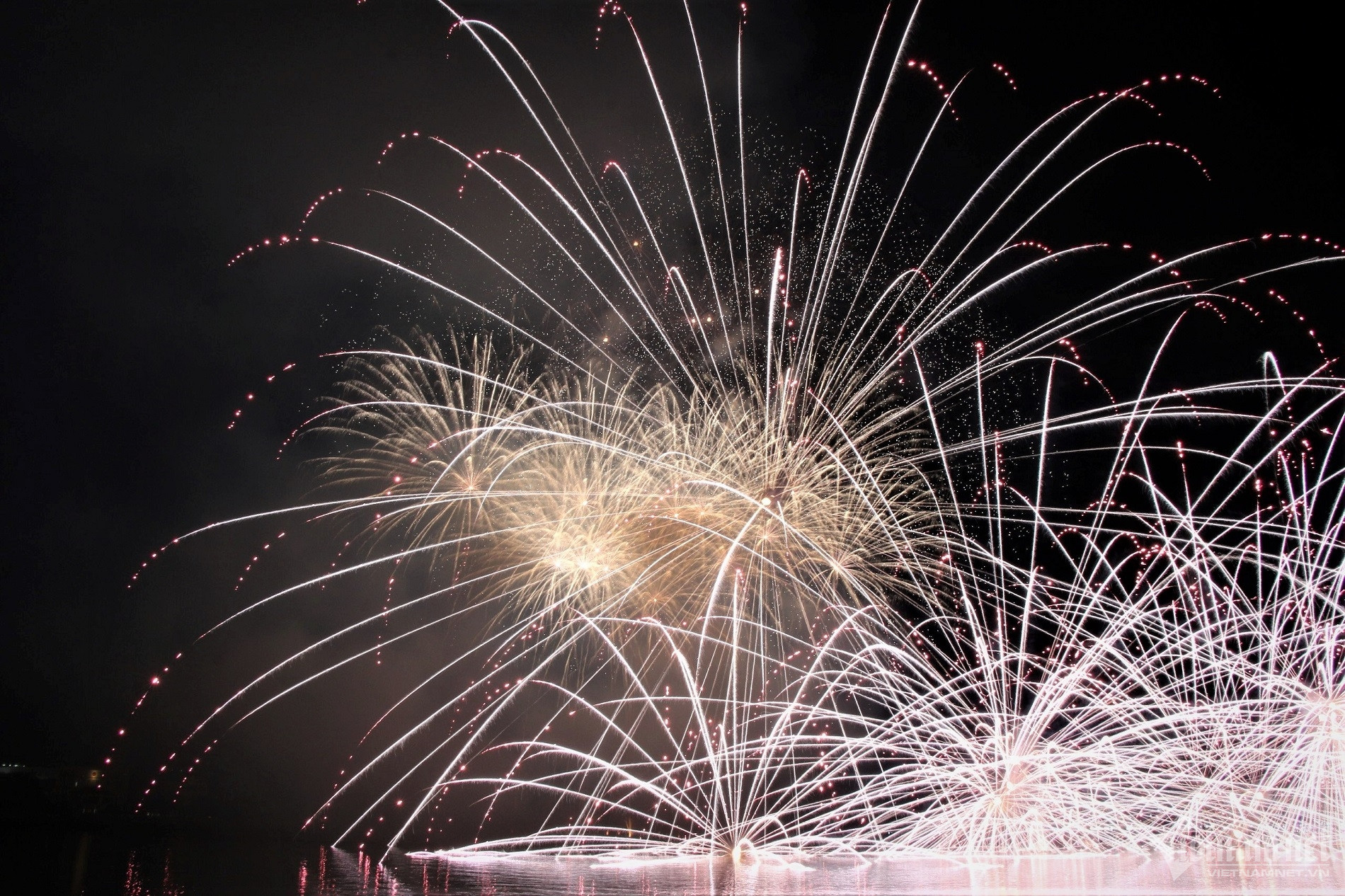 W-phao hoa viet nam.jpg