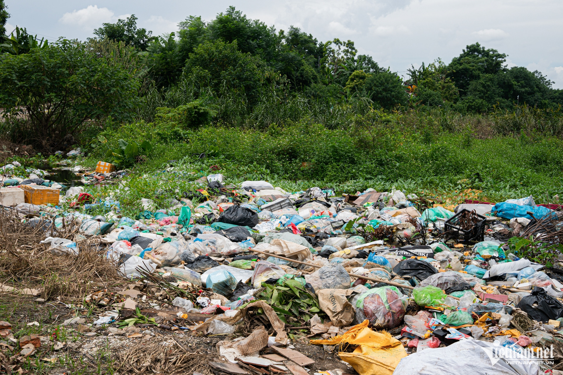 W-rác thải 6.jpg