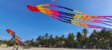 International kite players to fly on Quang Nam beach