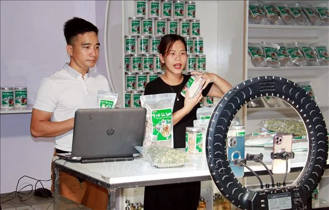 Vietnam's Push for E-commerce Development and Hydrogen Cooperation