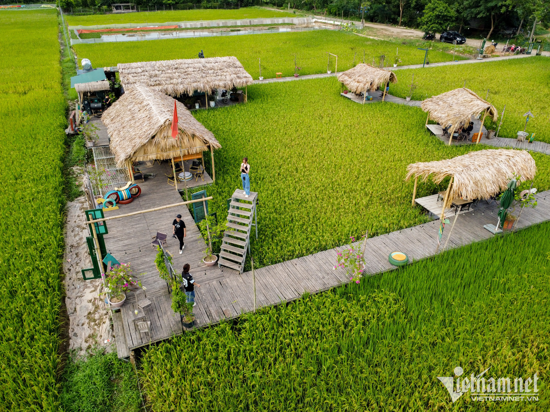 ca phe ruong (4).jpg