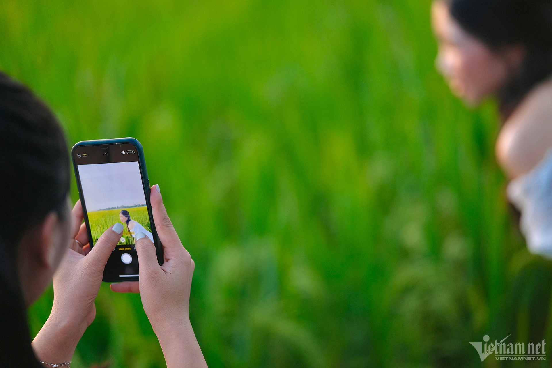 W-cà phê ruộng.jpg