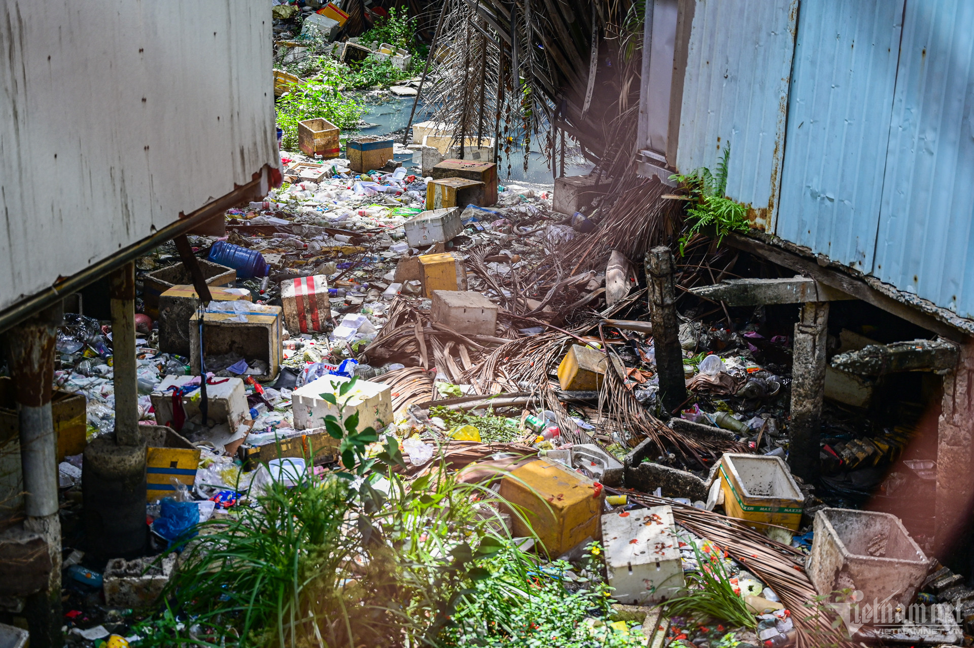 Living in the shadows: Slums beneath HCM City's skyscrapers