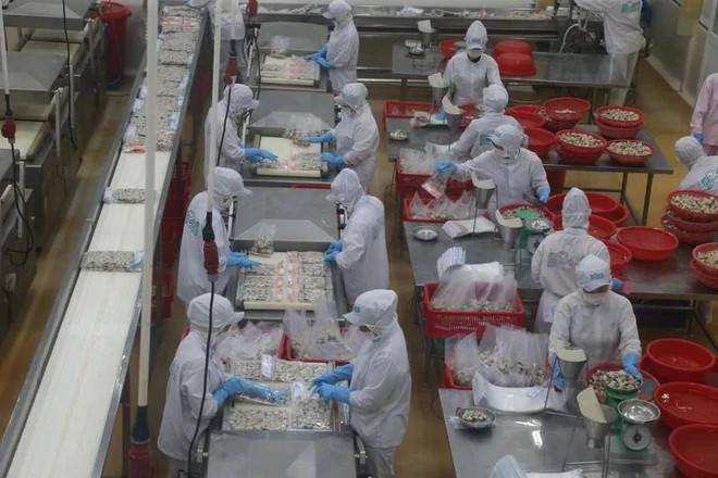 Vietnamese firms.webp