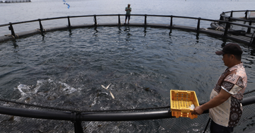 High-tech offshore farming: A billion-dollar industry for Khanh Hoa fishermen
