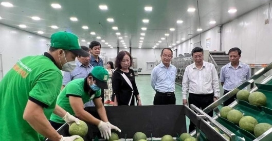 Vietnamese pomelo gets green light to gain entry into RoK