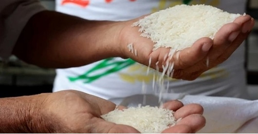 Vietnam's rice exports expected to have positive result in H2