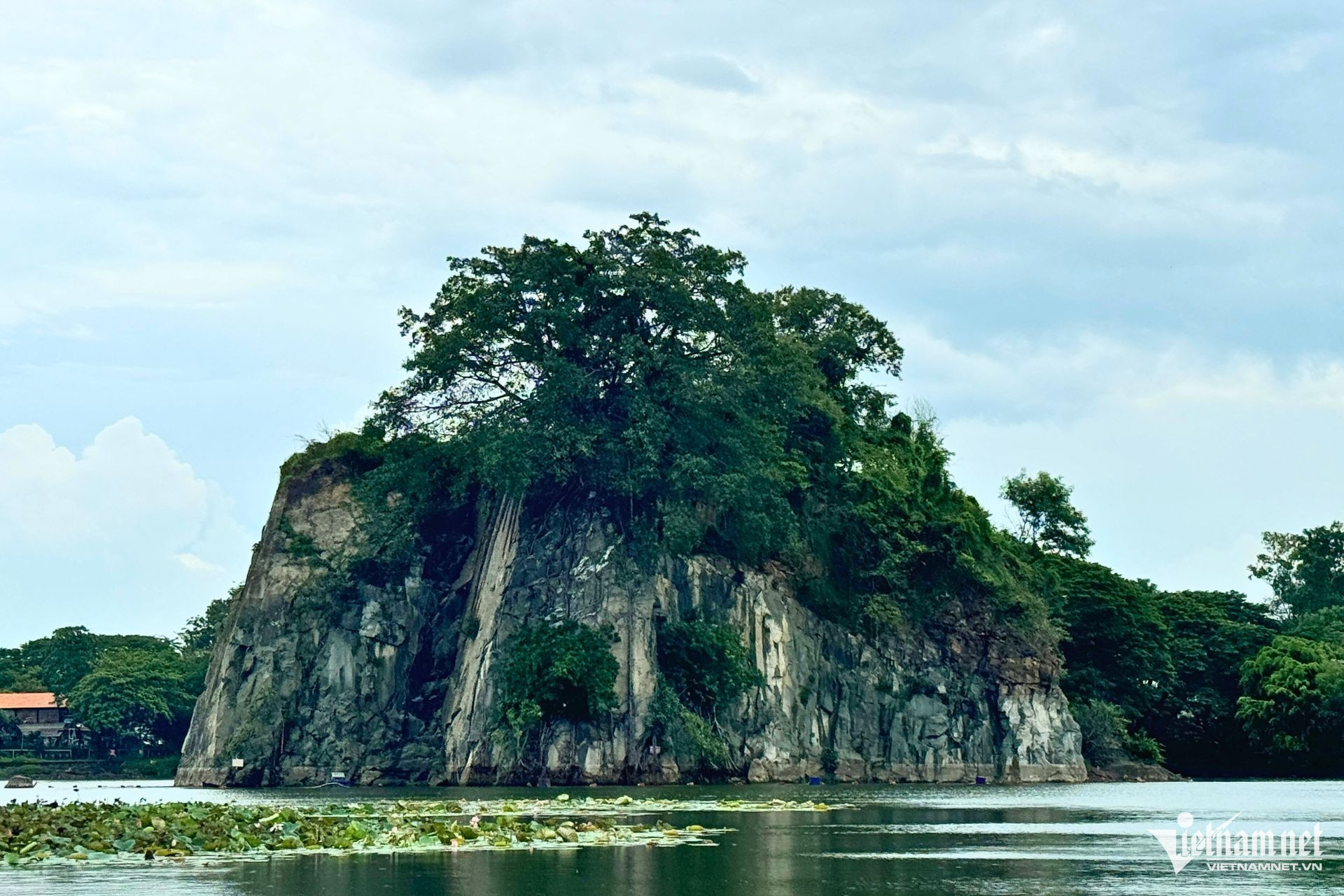 W-chim co ran dong nai 10.jpg