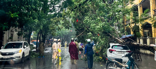 Typhoon Prapiroon topples trees and disrupts traffic in Hai Phong