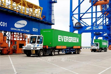 Vietnamese seaports to handle 1.2-1.4 billion tonnes of cargo by 2030