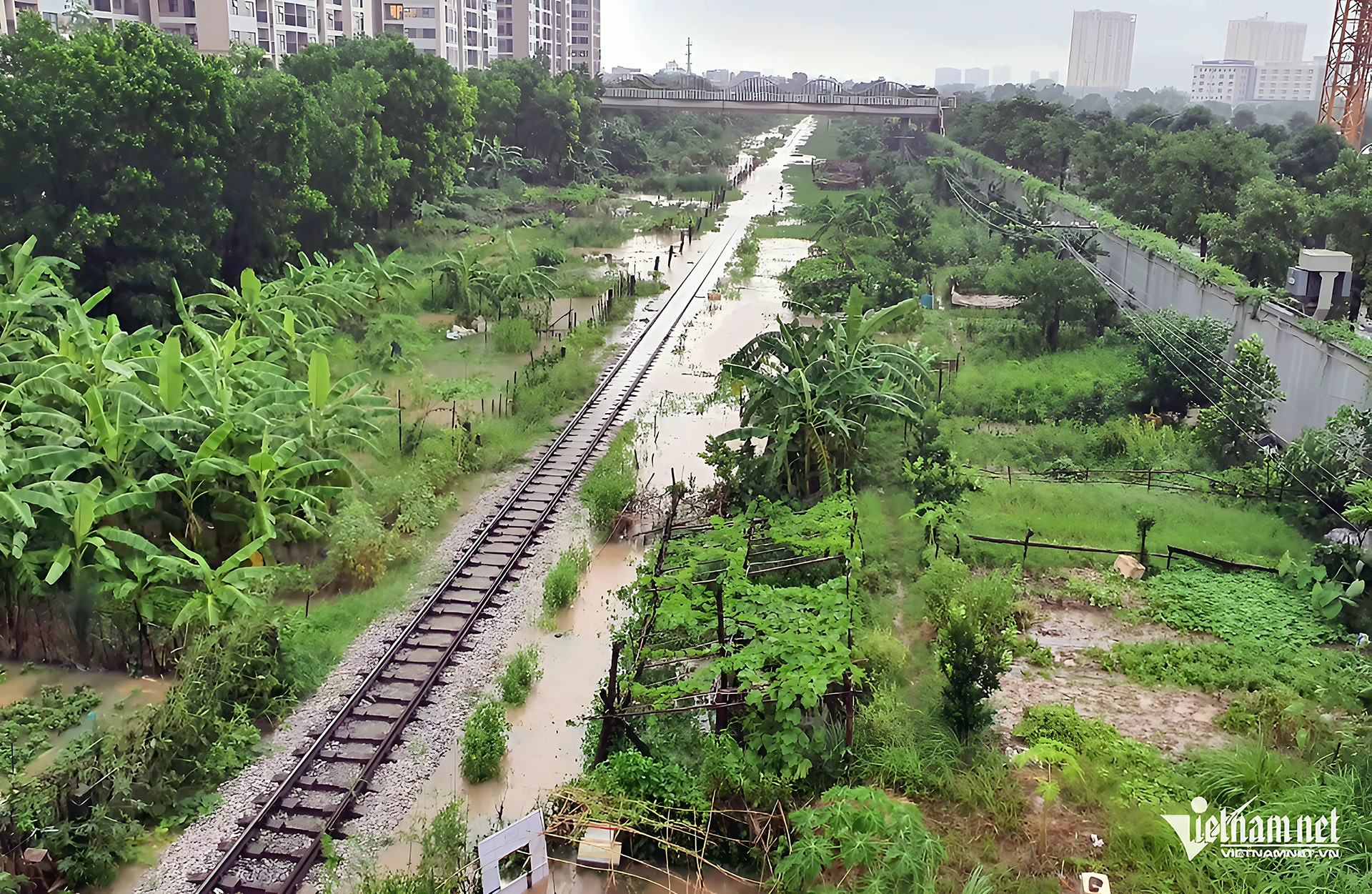 IMG_D9CD5FCFFD5D 1.jpeg