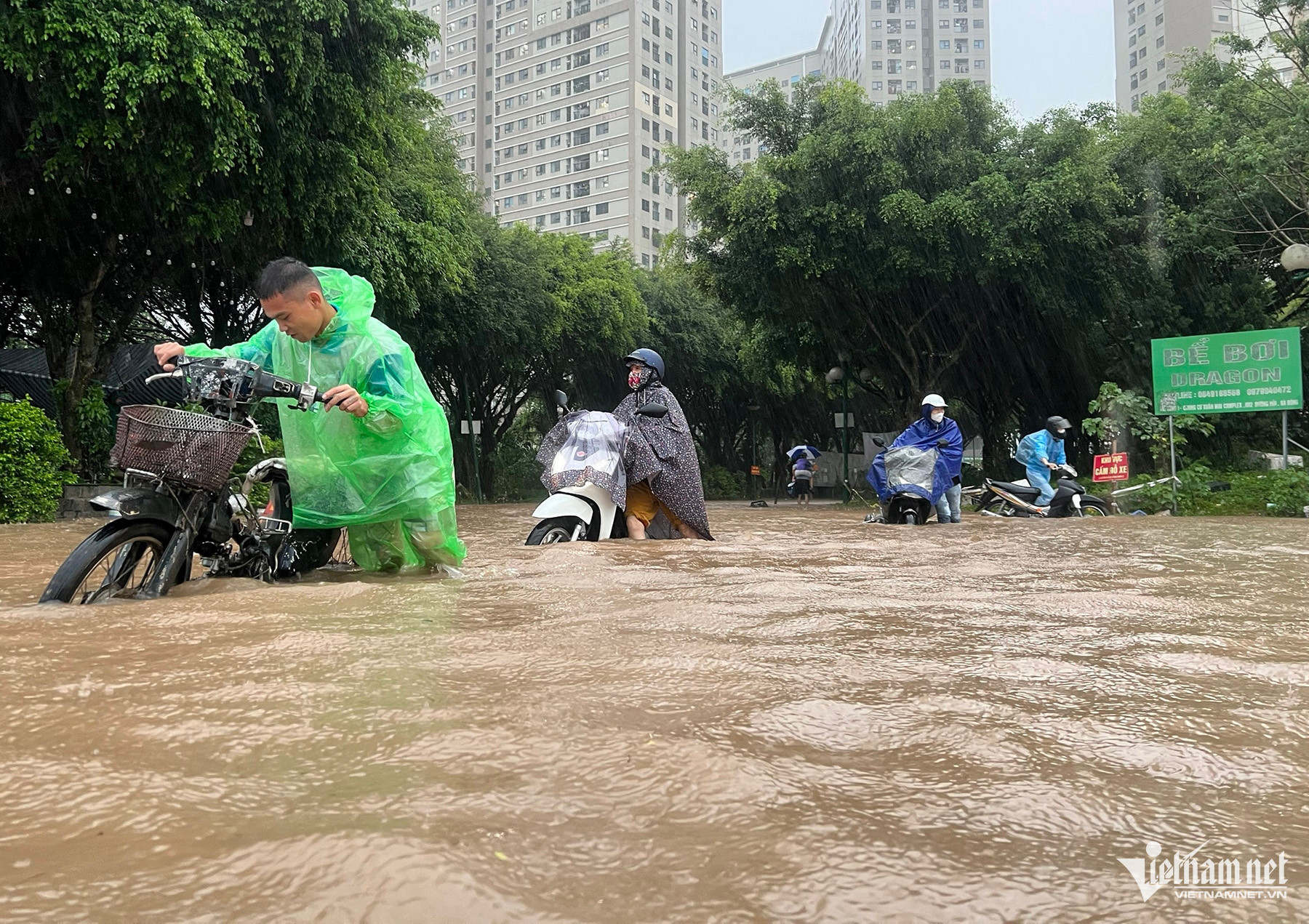 W-dinh truong 11.jpg