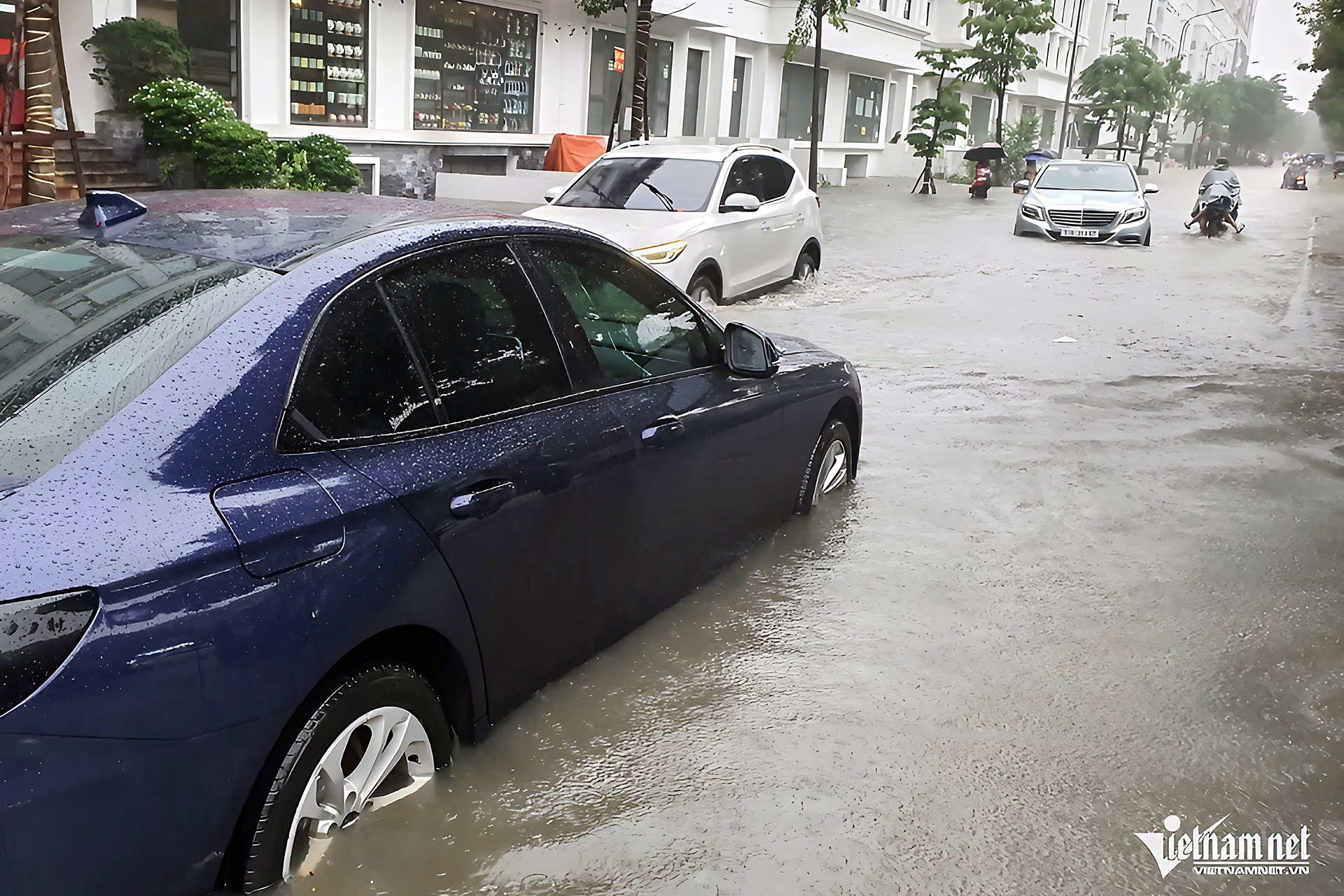 IMG_82305ED5D34B 1.jpg