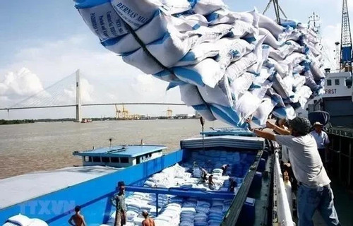 Rice exports to set record turnover of 5 billion USD in 2024