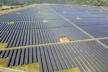 Trung Nam Group sells major solar asset as project shows profit turnaround