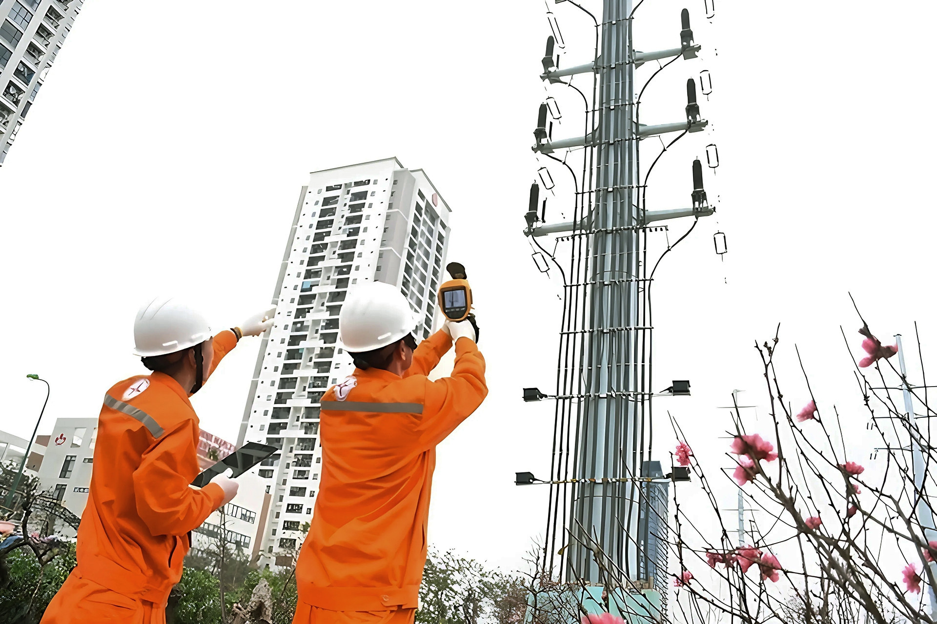 Listed companies report profit increases of thousands of percent