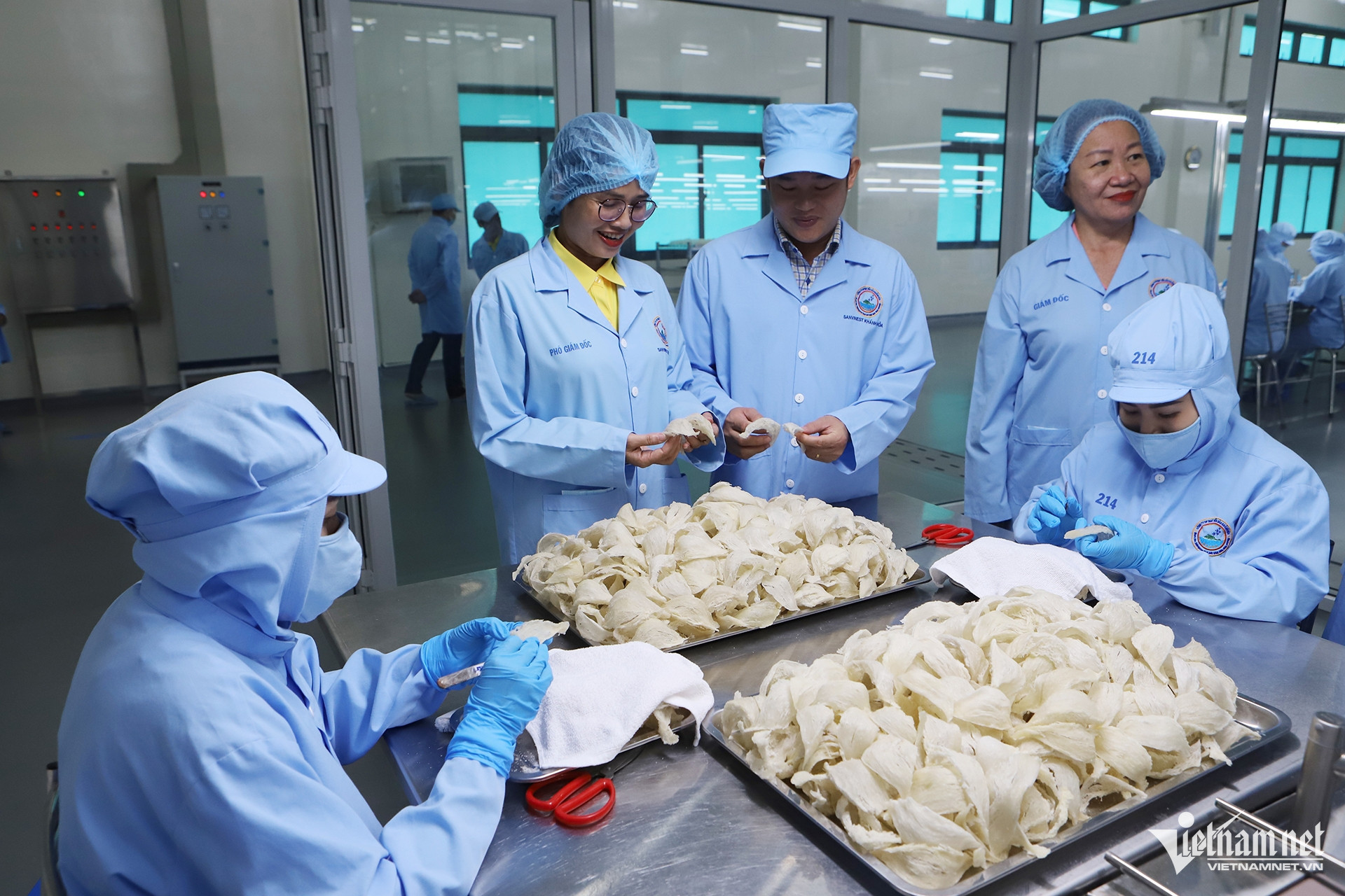 W-Công ty Cổ phần NGK Yến sào Khánh Hòa 2.jpg