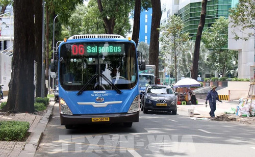 HCM City builds roadmap for green energy-using buses