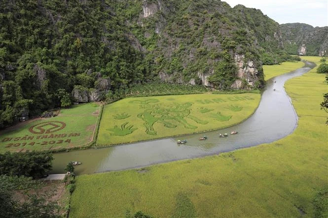 Ninh Binh tour among world’s best experiences: TripAdvisor