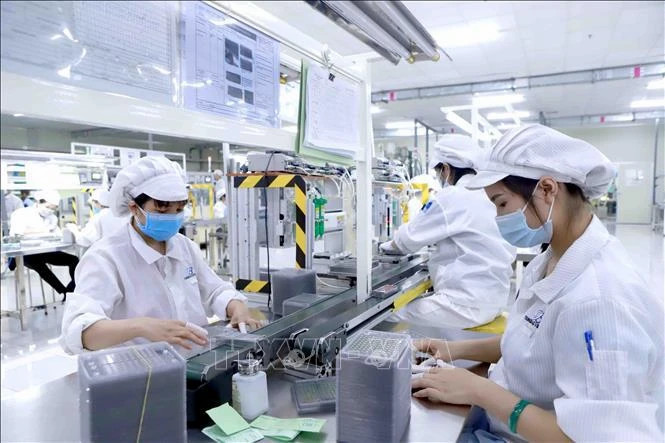 Vietnam Business News July 4/2024