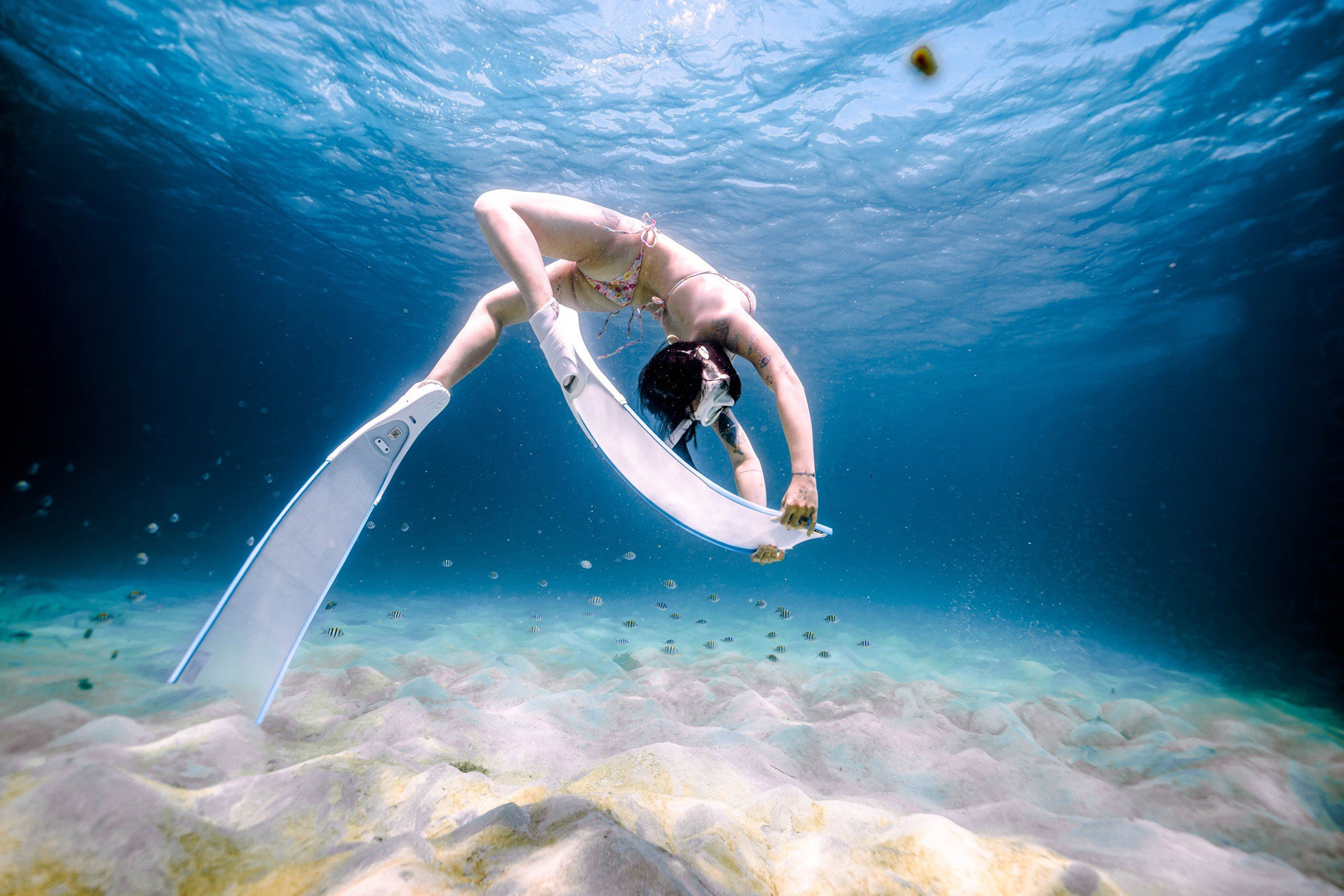 chup hinh o Phu Quy 6.jpg