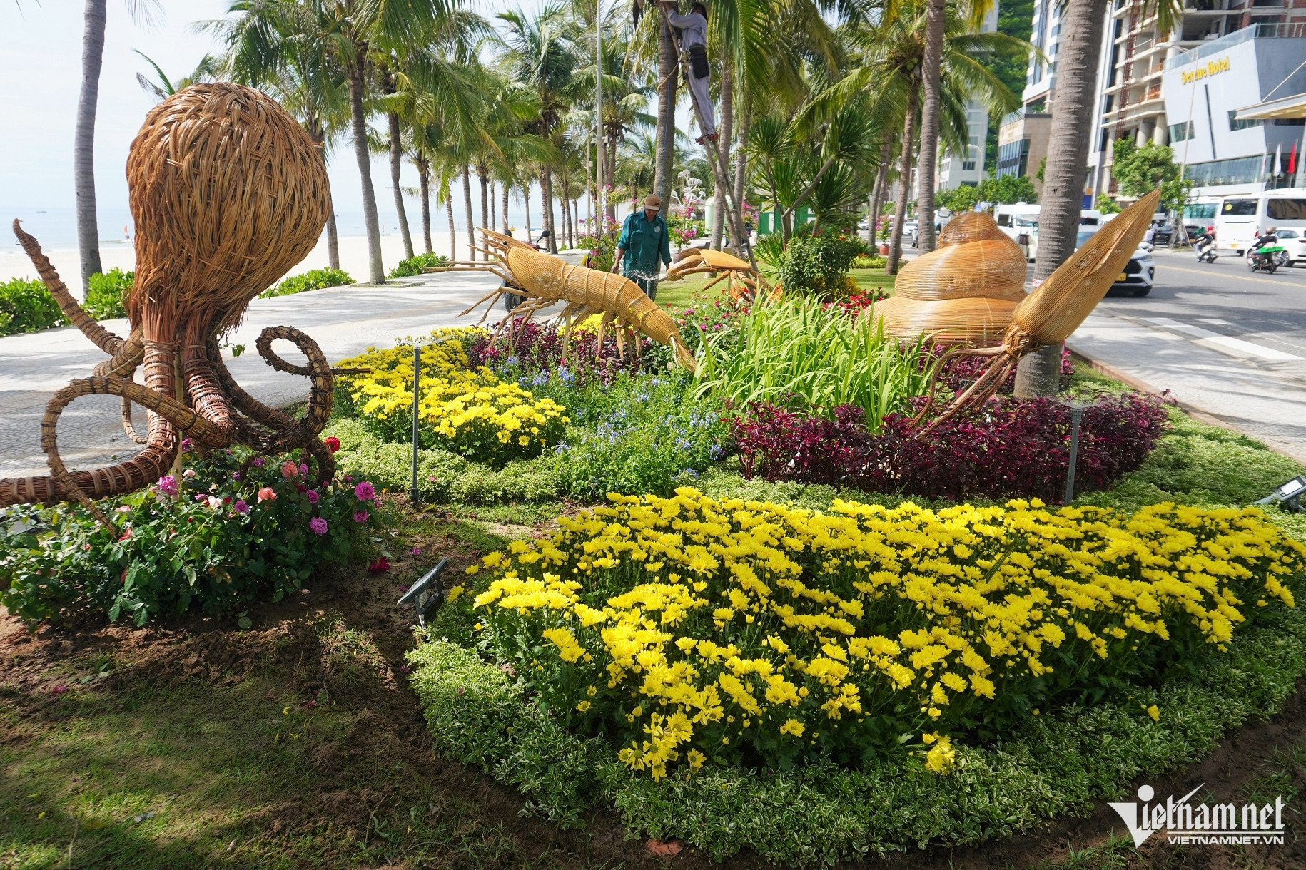 w duong hoa14 462.jpg