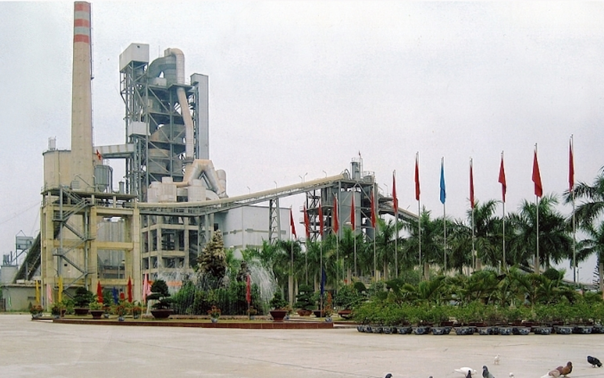 vicem hai phong vietnamnet.jpg