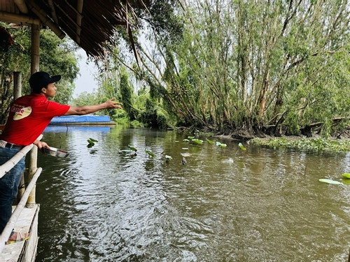 Protecting biodiversity through eco-tourism in Tra Su cajuput forest