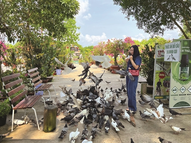 Tourists find An Giang not just about culture, but also vulture