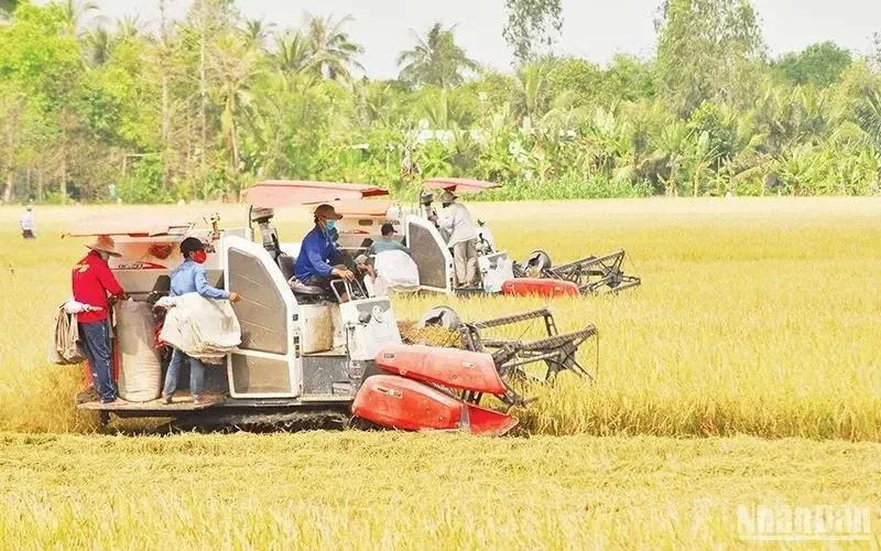 Mechanisms needed for rice industry to go circular: insiders