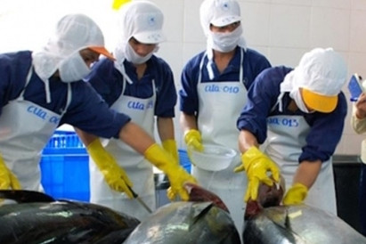 UKVFTA opens doors for Vietnamese tuna exports to UK market