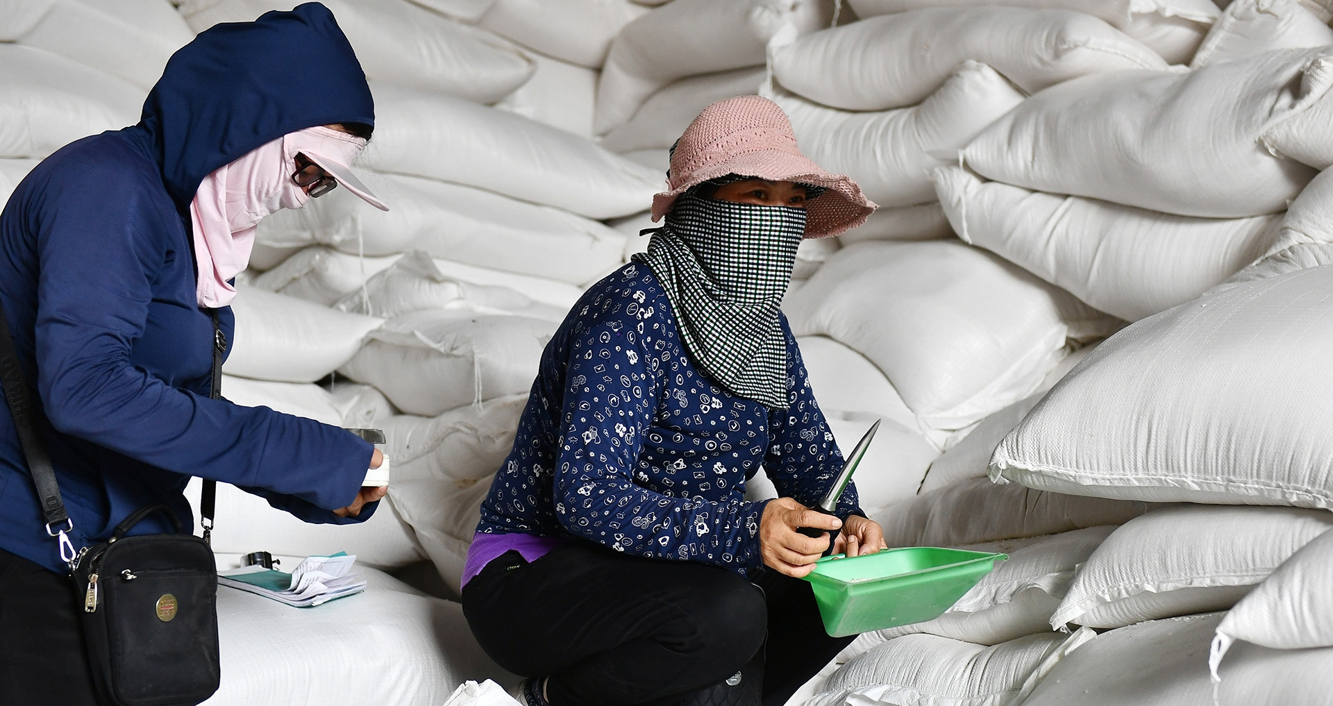 Vietnamese rice sets global price record amid market fluctuations