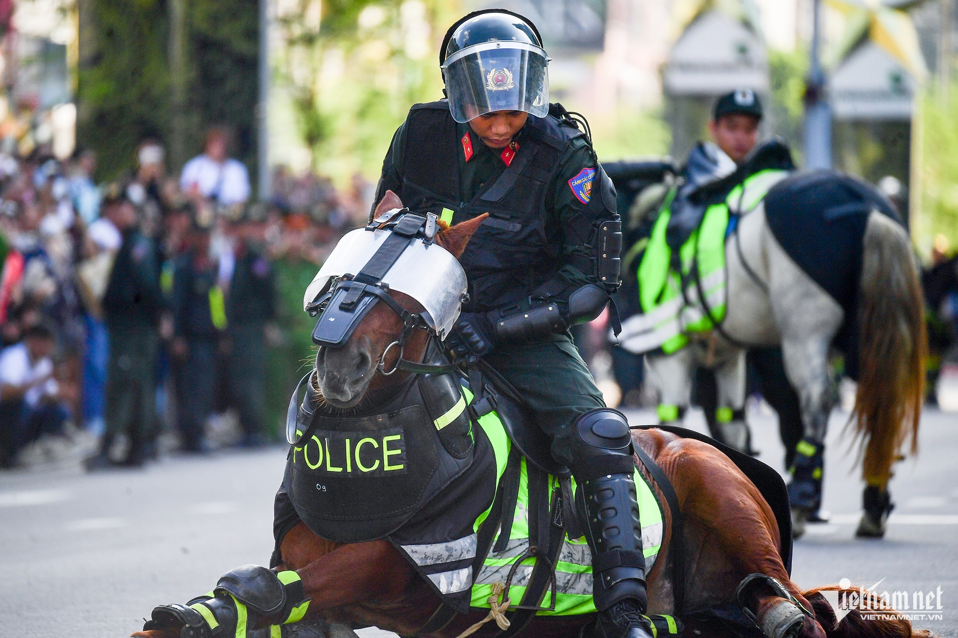 W-kỵ binh TPHCM 17.jpg