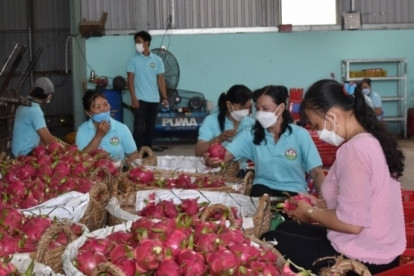 RoK emerges as second largest importer of Vietnamese fruit and vegetables