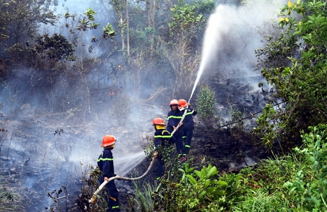 Facing record heat, central region increased risk of forest fires