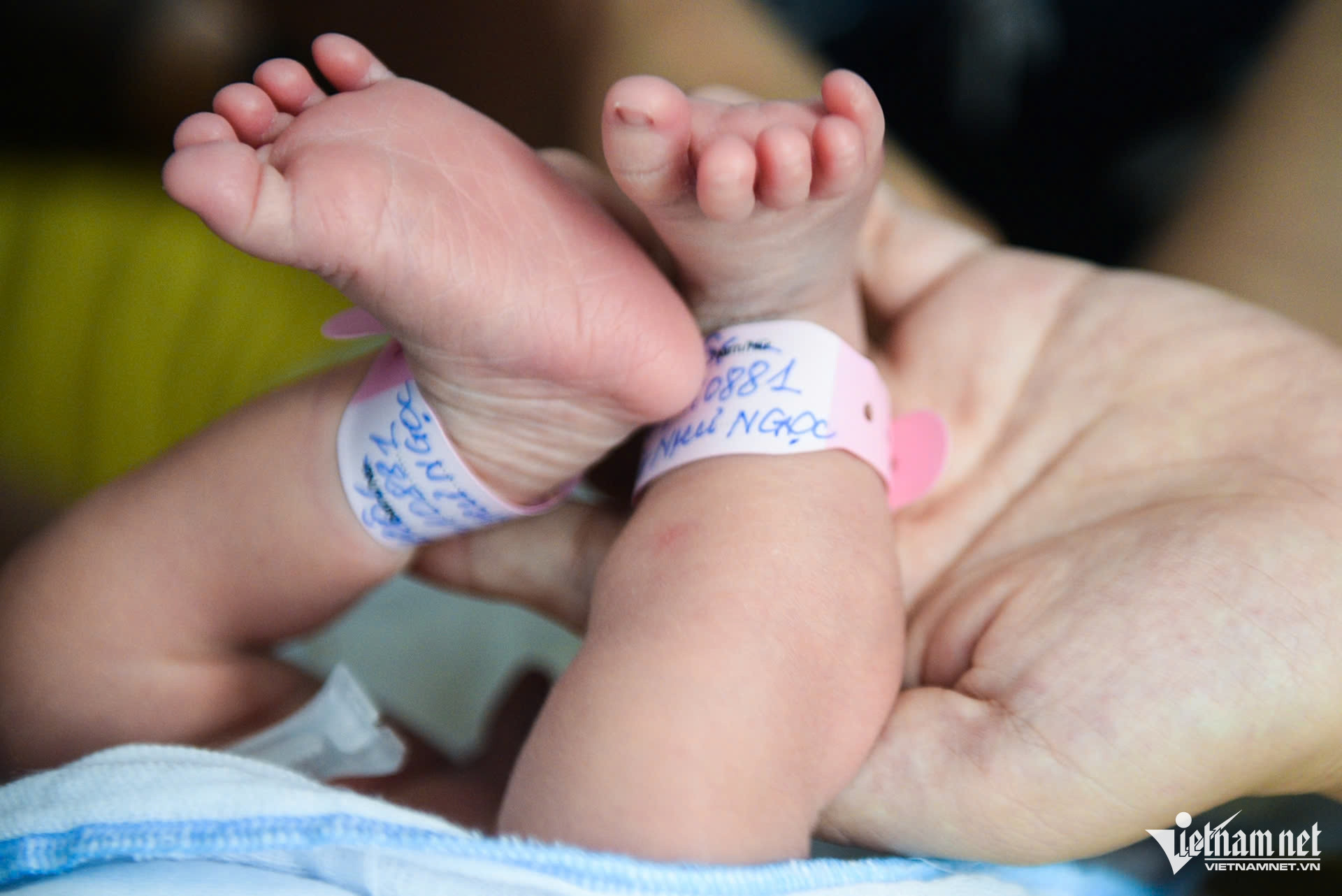 fertility thachthao.jpg