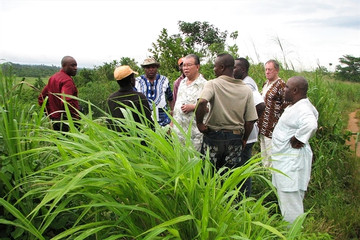 Life in review: Prof Vo Tong Xuan’s seminal contributions to VN agriculture