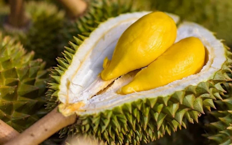 Second durian festival to honour growers, promote sustainable development