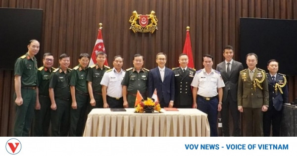 Vietnam, Singapore hold 15th defence policy dialogue