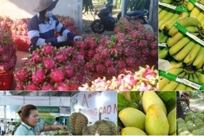 Eight-month fruit and vegetable exports earn close to US$4.6 billion