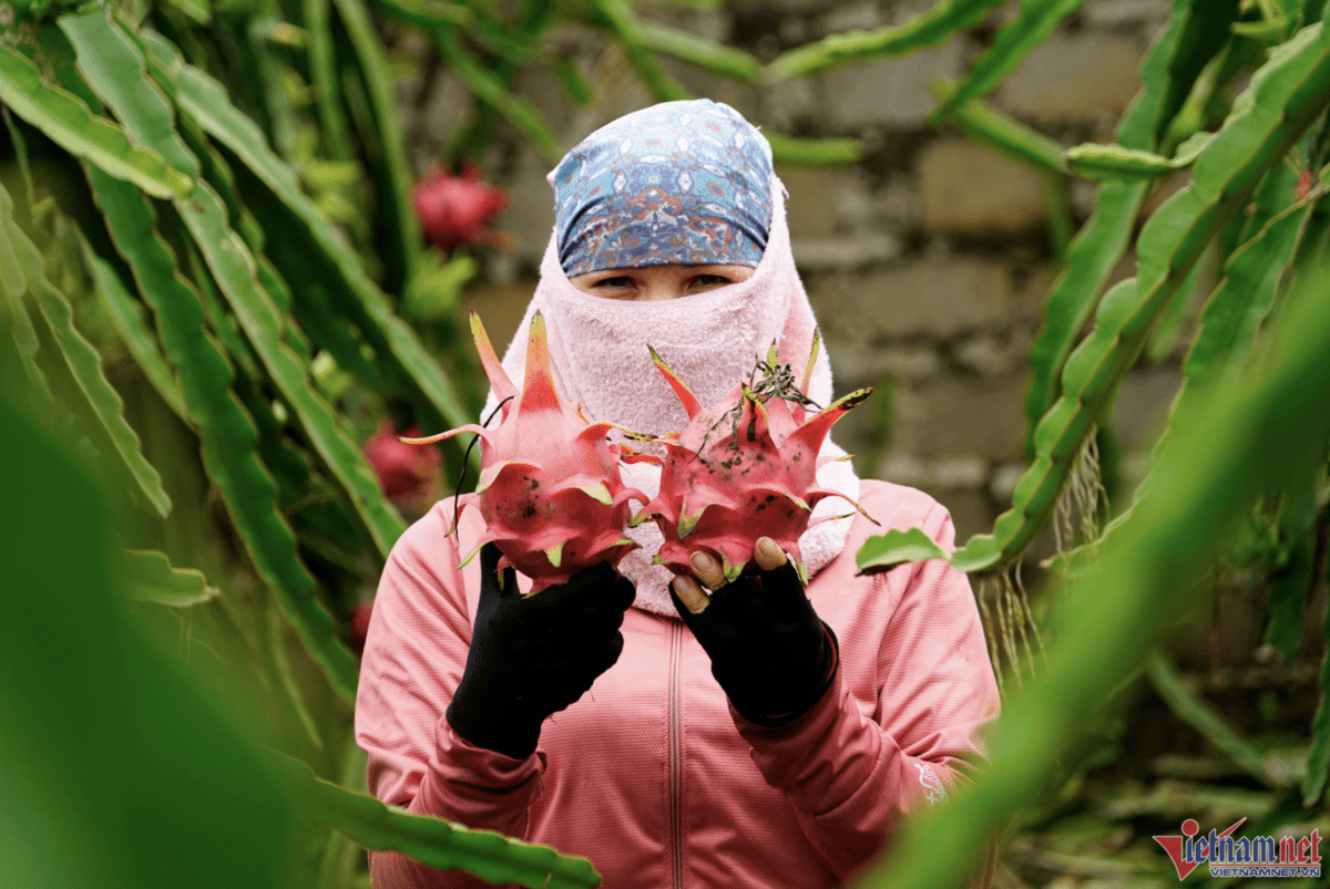 US market PhamCong (1).png