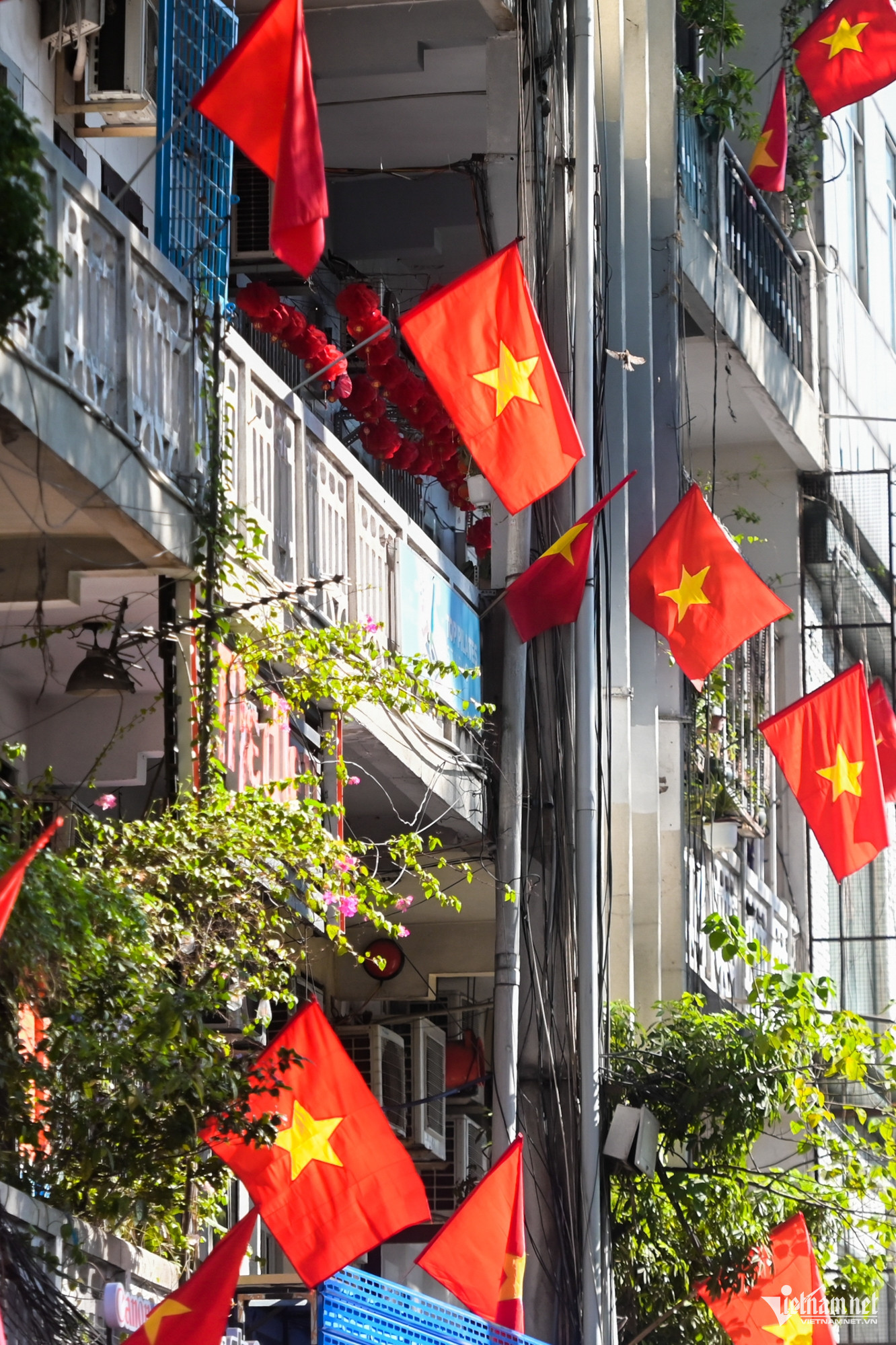 W-cờ hoa 2 9 12.jpg