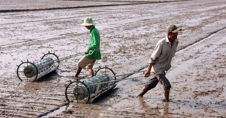 Vietnamese farmers could earn more by rethinking how they handle straw