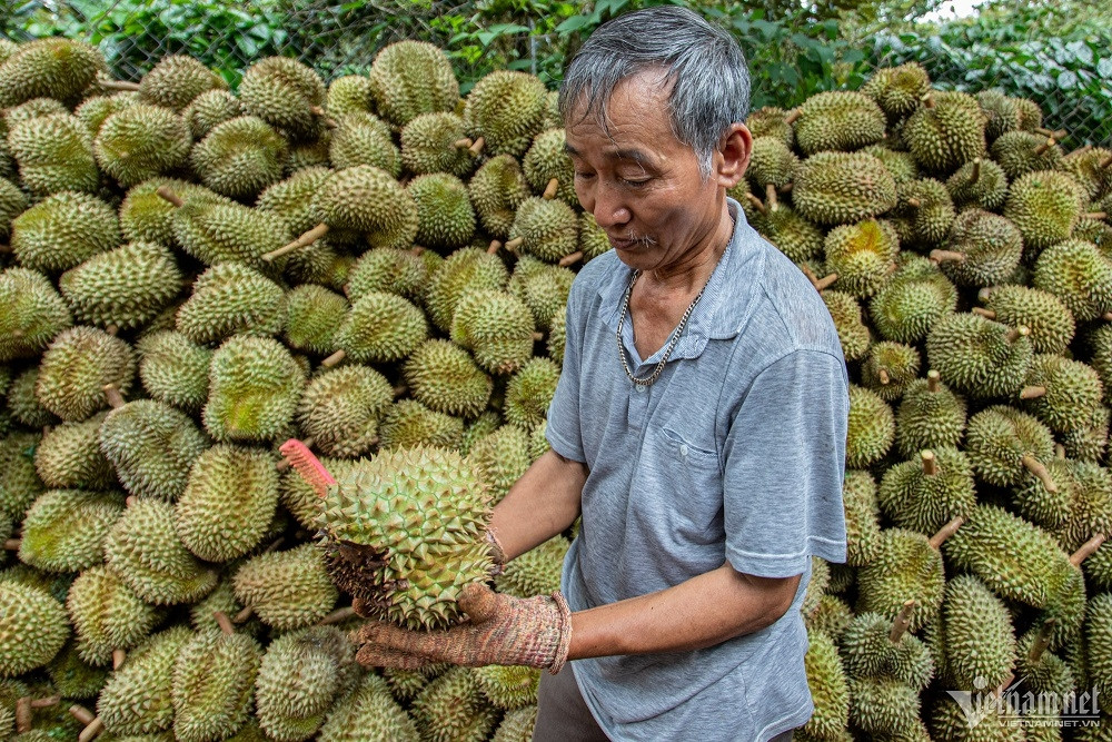 Vietnamese innovation: Biochar and wood vinegar production from durian shells