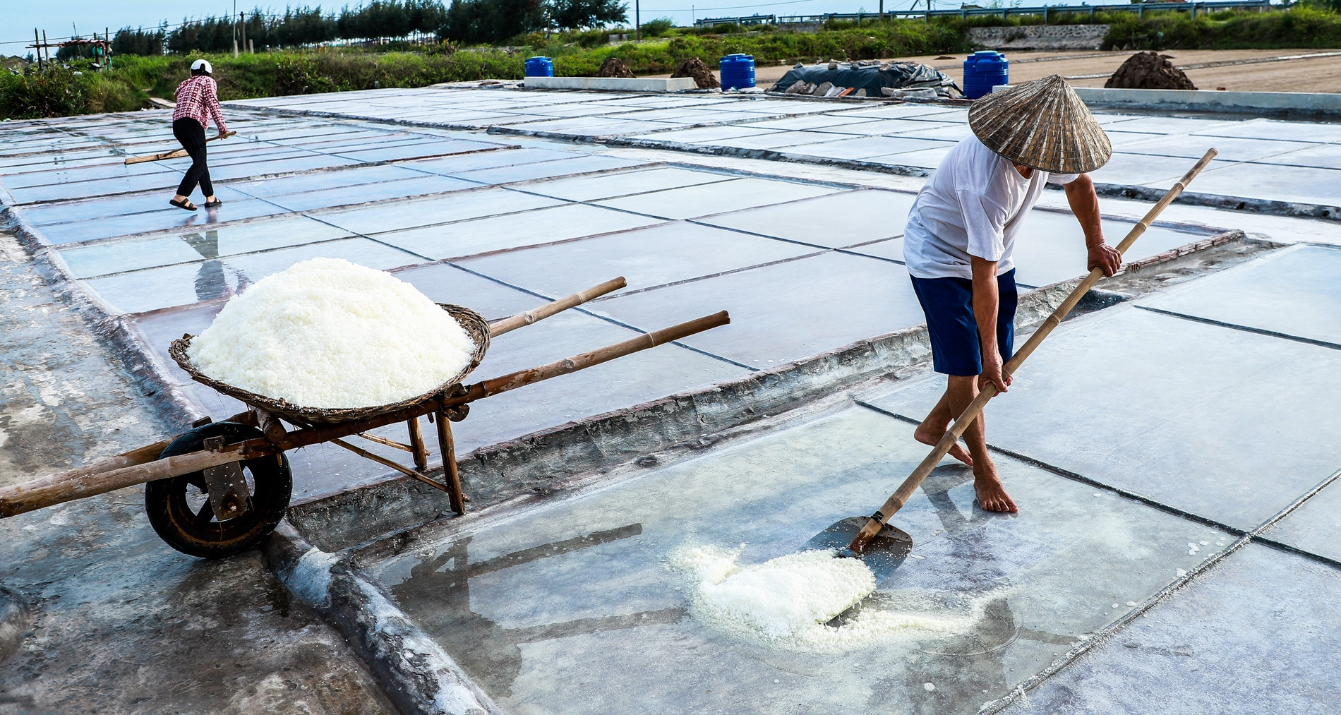 Nam Dinh's unique profession: More sun, more money for salt farmers