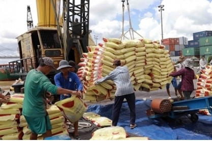 Opportunity for Vietnam as Indonesia increases rice tender volumes