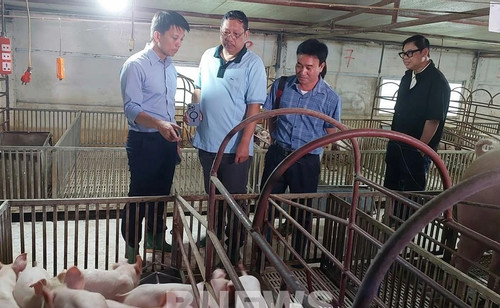 Philippines to import 150,000 doses of African swine fever vaccine from Vietnam